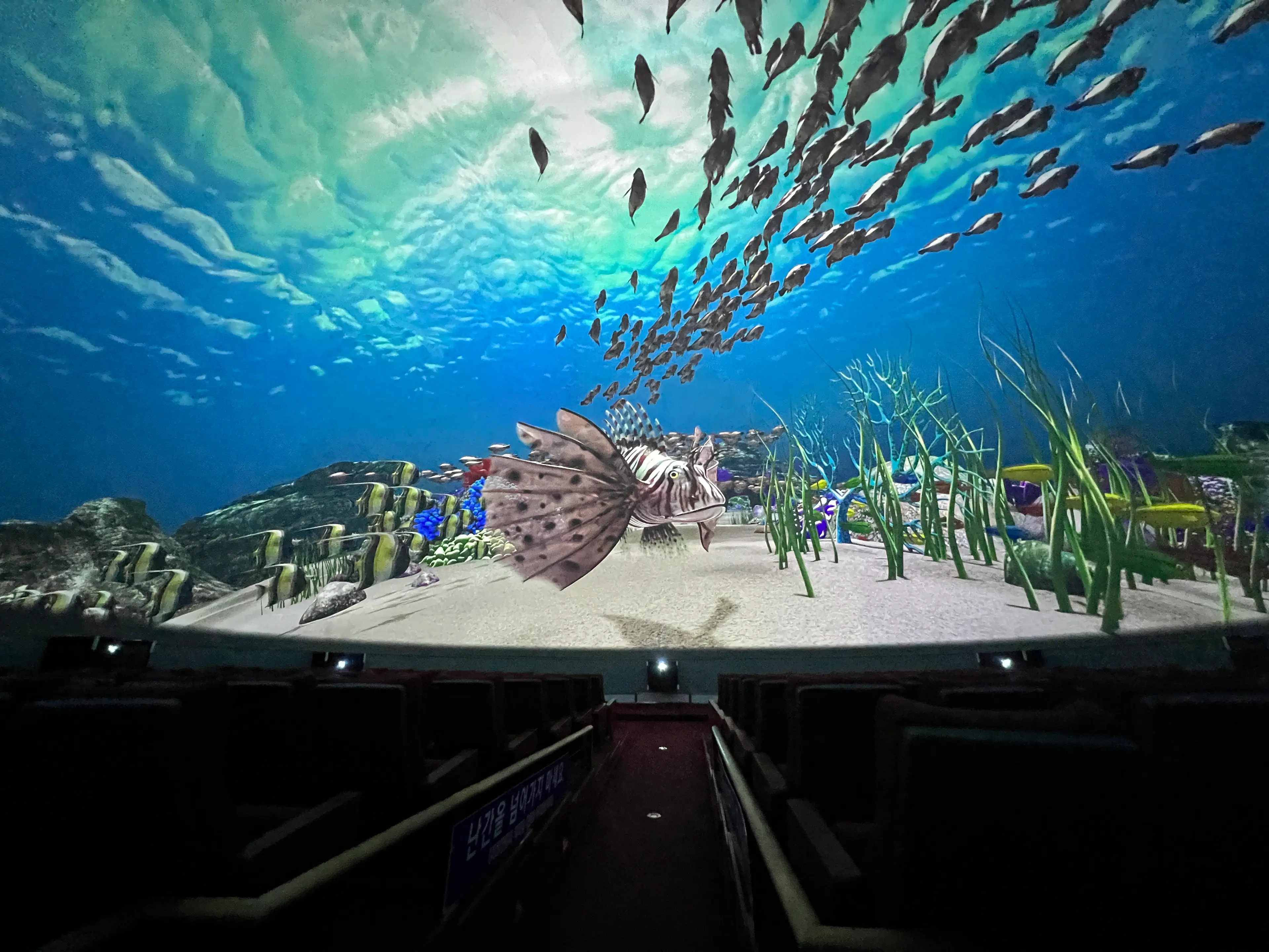 A school of fish on a fulldome display driven by Screenberry media server software